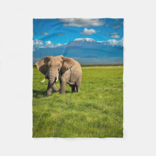 Mountains Mount Kilimanjaro Tanzania, Africa Fleece Blanket