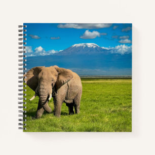 Mountains Mount Kilimanjaro Tanzania, Africa Notebook