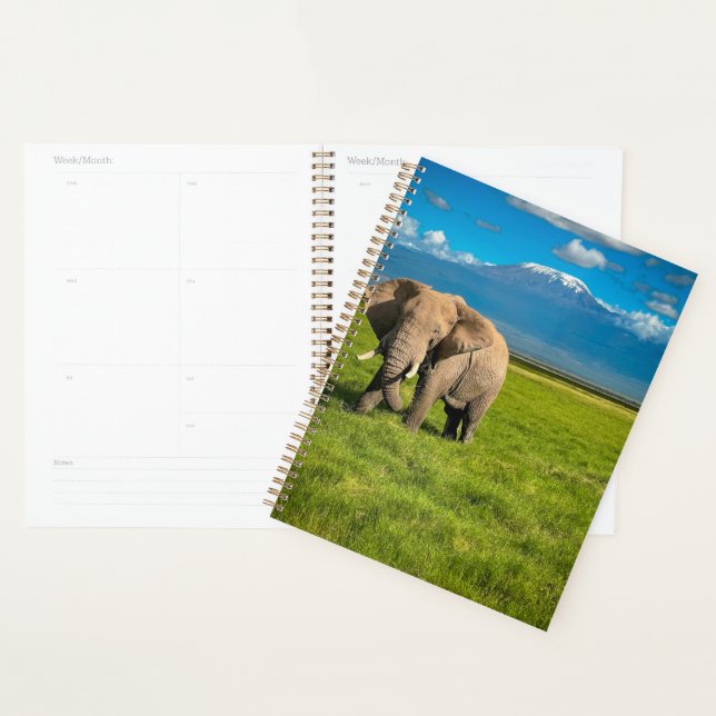 Mountains | Mount Kilimanjaro Tanzania, Africa Planner (Display)