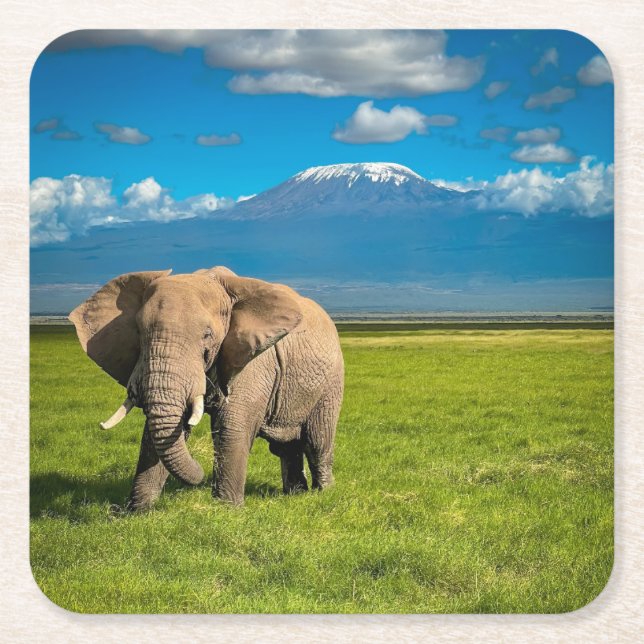 Mountains | Mount Kilimanjaro Tanzania, Africa Square Paper Coaster (Front)