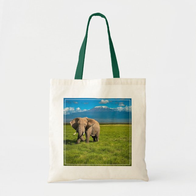 Mountains | Mount Kilimanjaro Tanzania, Africa Tote Bag (Front)