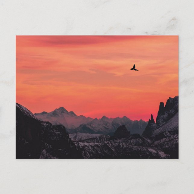 Mountains Orange Sunset Bird in Sky Postcard (Front)
