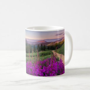 Mountains   Rocky Mountains, Colorado Coffee Mug