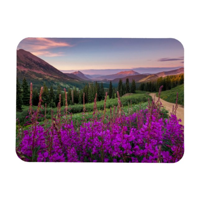 Mountains | Rocky Mountains, Colorado Magnet (Horizontal)
