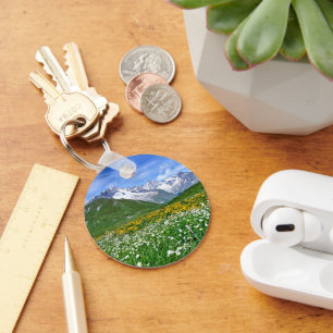 Mountains Swiss Alps Valley Spring Key Ring