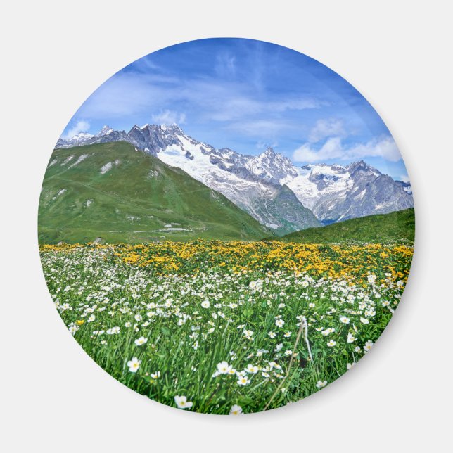 Mountains | Swiss Alps Valley Spring Magnet (Front)