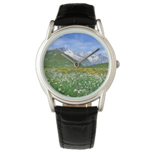 Mountains Swiss Alps Valley Spring Watch