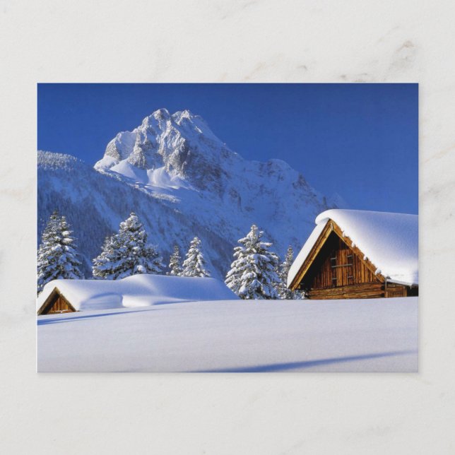Mountains Winter Snow Postcard (Front)