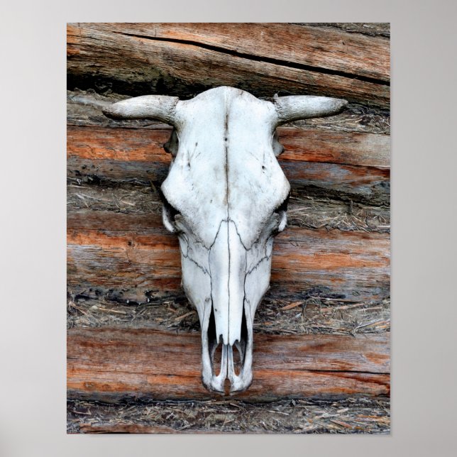 Mounted Cow Skull Poster (Front)