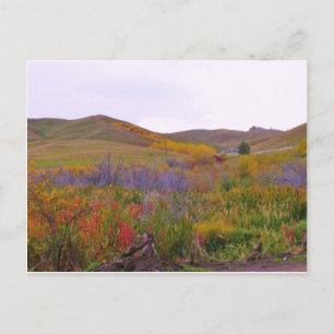 Mountian Colours Postcard