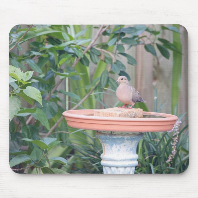 Mourning Dove at Birdbath Mouse Pad (Front)