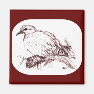 Mourning Dove Baby Magnet