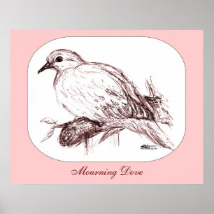 Mourning Dove Baby Poster