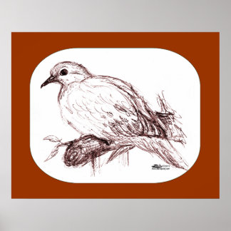 Mourning Dove Baby Poster