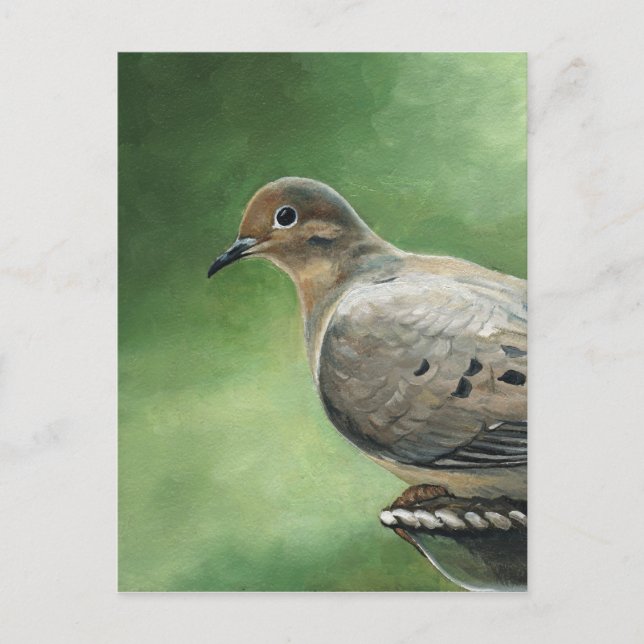 Mourning Dove Bird Art Postcard (Front)