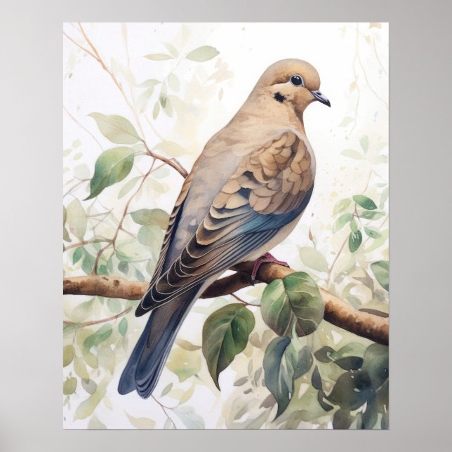 Mourning Dove Bird Art Print Poster  (Front)