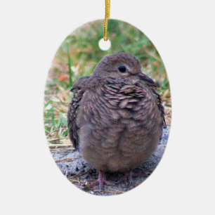 Mourning Dove Bird Ornament 