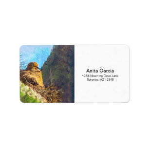 Mourning Dove Female With Baby Saguaro Cactus Nest Label