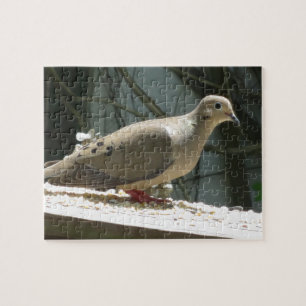 Mourning Dove Jigsaw Puzzle
