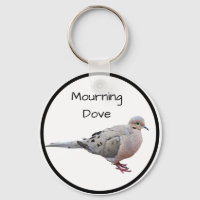 Mourning Dove