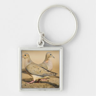 Mourning Dove Key Ring