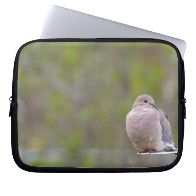 Mourning Dove Laptop Sleeve (Front)