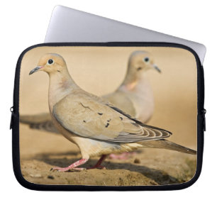 Mourning Dove Laptop Sleeve