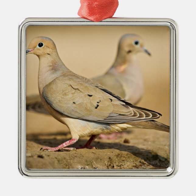 Mourning Dove Metal Tree Decoration (Front)