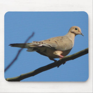 Mourning Dove Mousepad