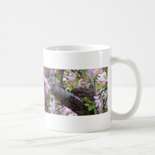 Mourning Dove Nest, Nesting Mourning Dove Coffee Mug