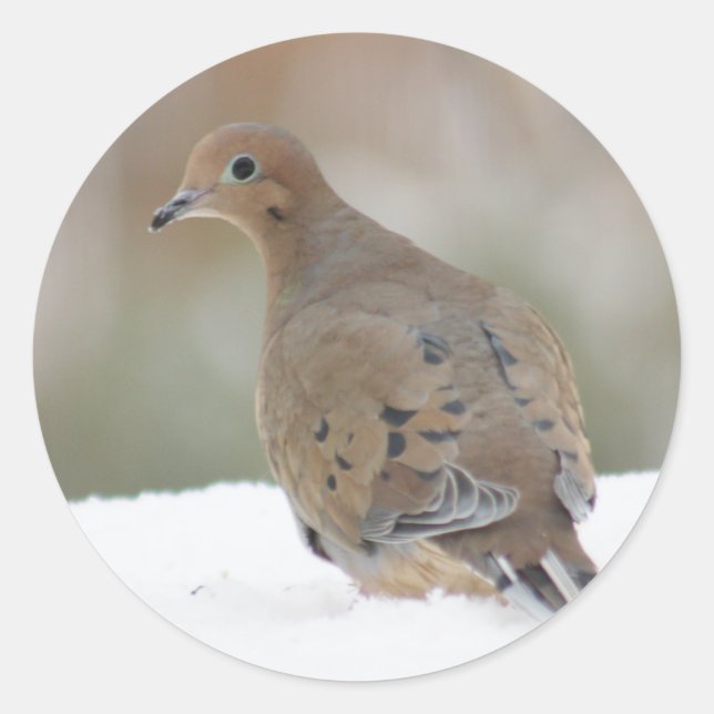 Mourning Dove photo on Personalised Round Stickers (Front)