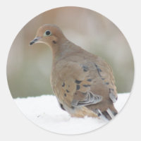 Mourning Dove photo on Personalised Round Stickers
