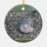 Mourning Dove Photo Ornament
