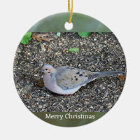 Mourning Dove Photo Ornament 
