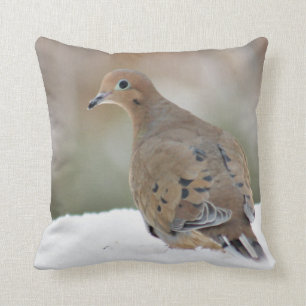 Mourning dove photography cushion