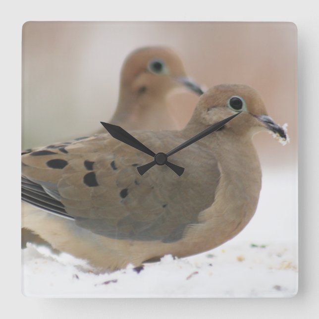 Mourning dove photography square wall clock (Front)