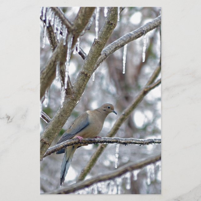 Mourning Dove Stationery (Front)