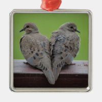 Mourning Doves