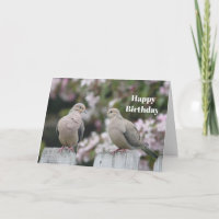 Mourning Doves Photo Birthday