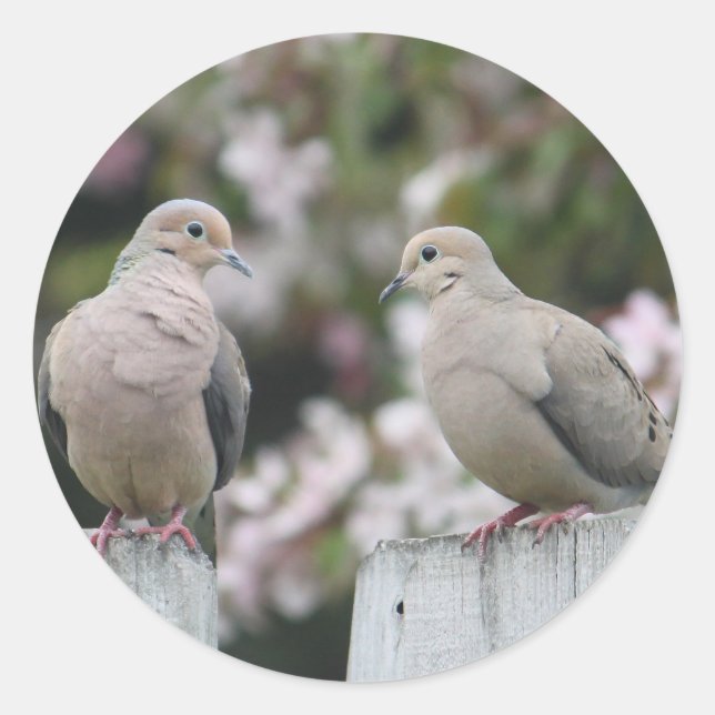 Mourning Doves Photo Classic Round Sticker (Front)