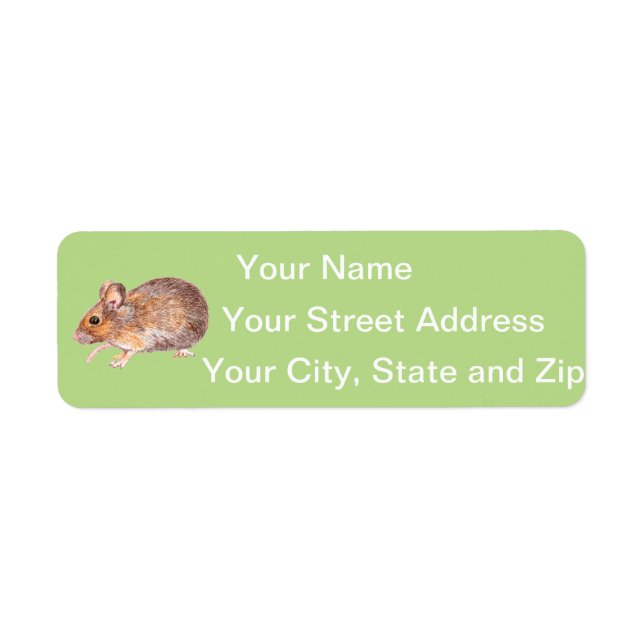 Mouse (Front)