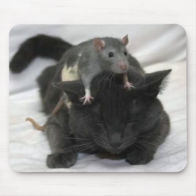 Mouse and cat mouse pad (Front)