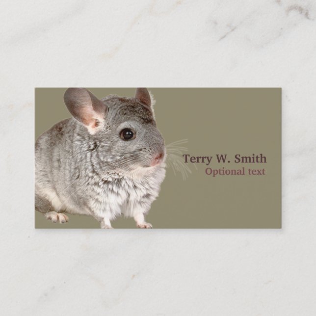 Mouse Business Card (Front)