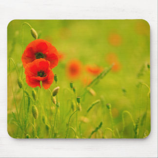 Mouse carpets, spring and poppy flowers mouse pad