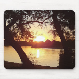 Mouse Carpets Sunrise over Great Mott Pad