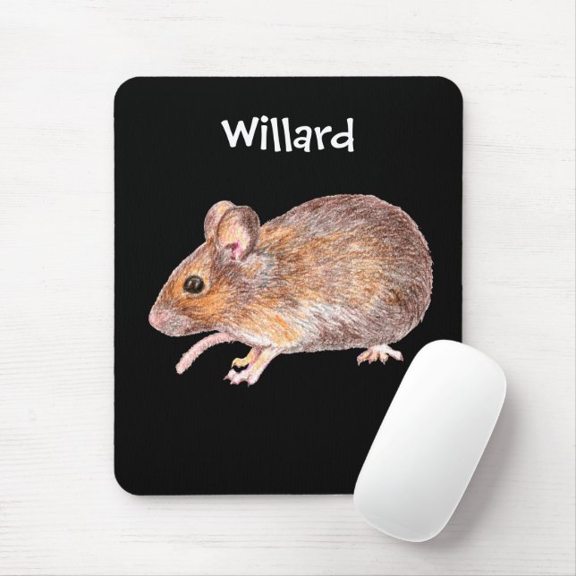 Mouse Case For The iPad Mini Pad (With Mouse)