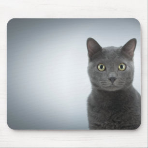 Mouse cat mouse pad