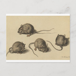 mouse-clipart-2 postcard