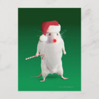 Mouse dressed as Santa Claus