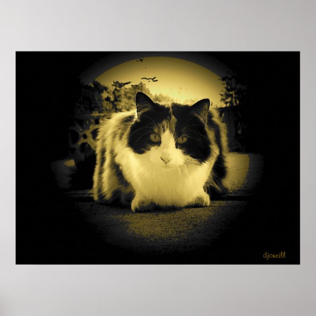 Mouse eye view poster (Front)